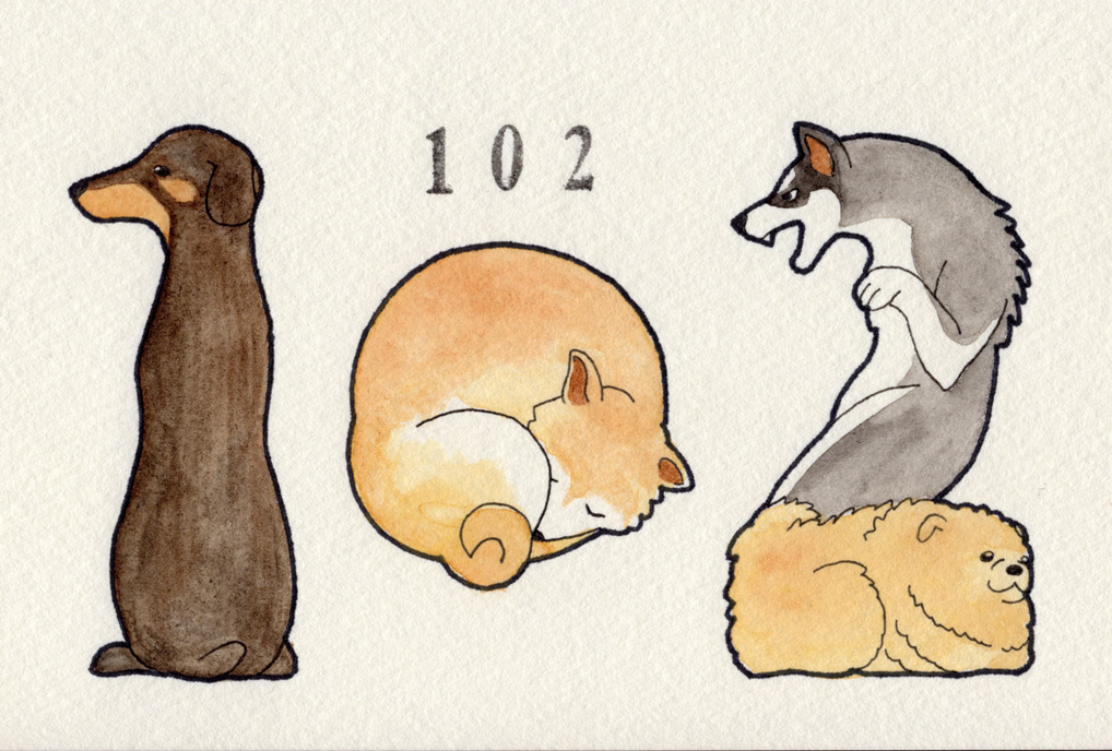 ドーベルマン/秋田犬/シベリアンハスキー/ポメラニアン