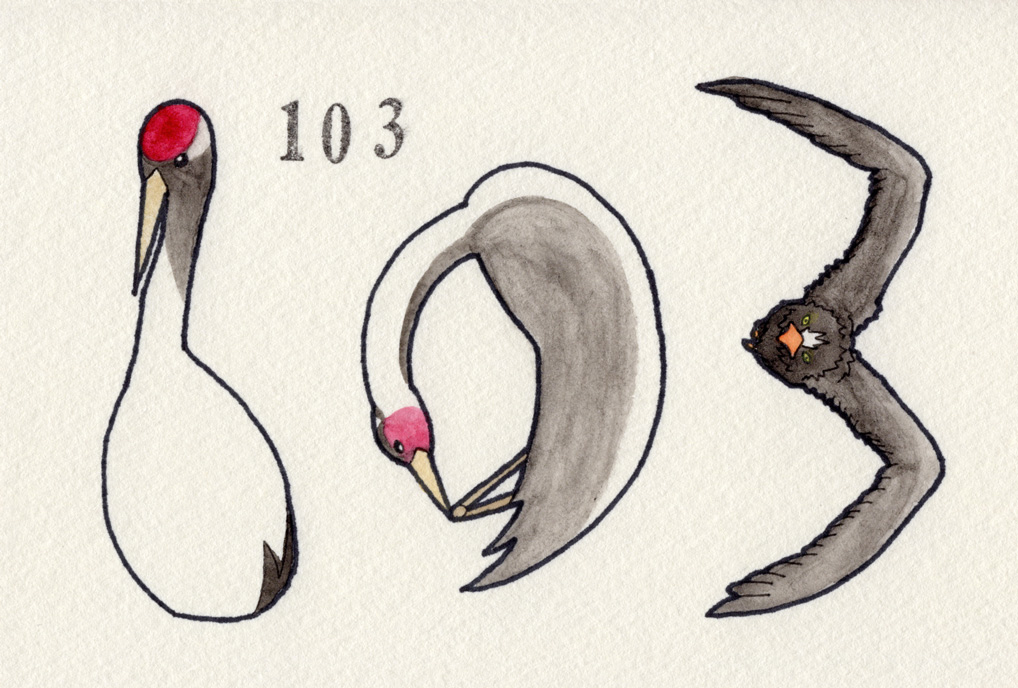 タンチョウ/マナヅル/オオワシ