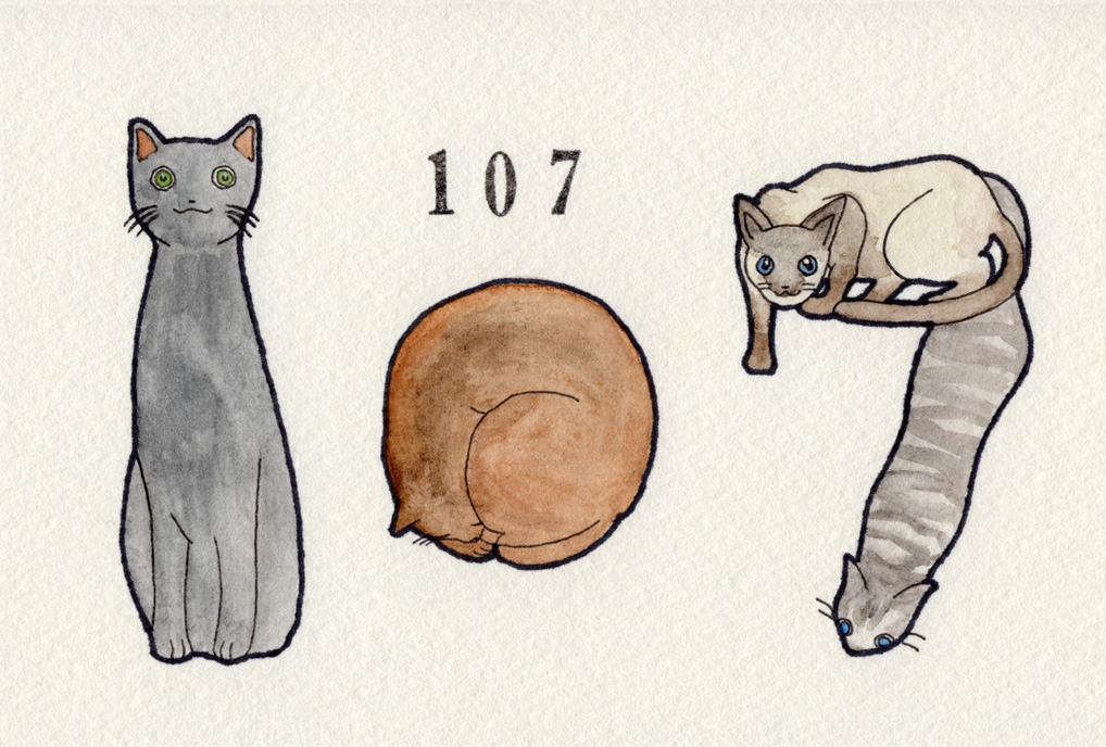 ロシアンブルー/アビシニアン/シャム/アメリカンショートヘア