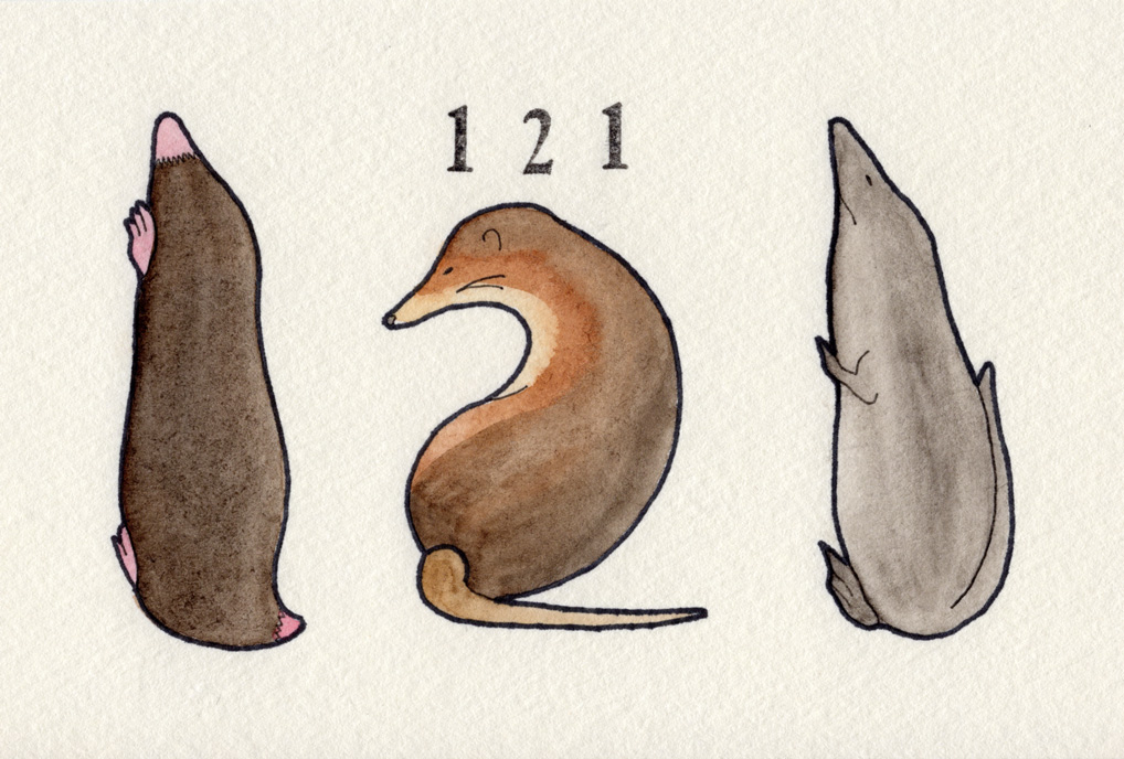 アズマモグラ/ハイチソレノドン/ロシアデスマン