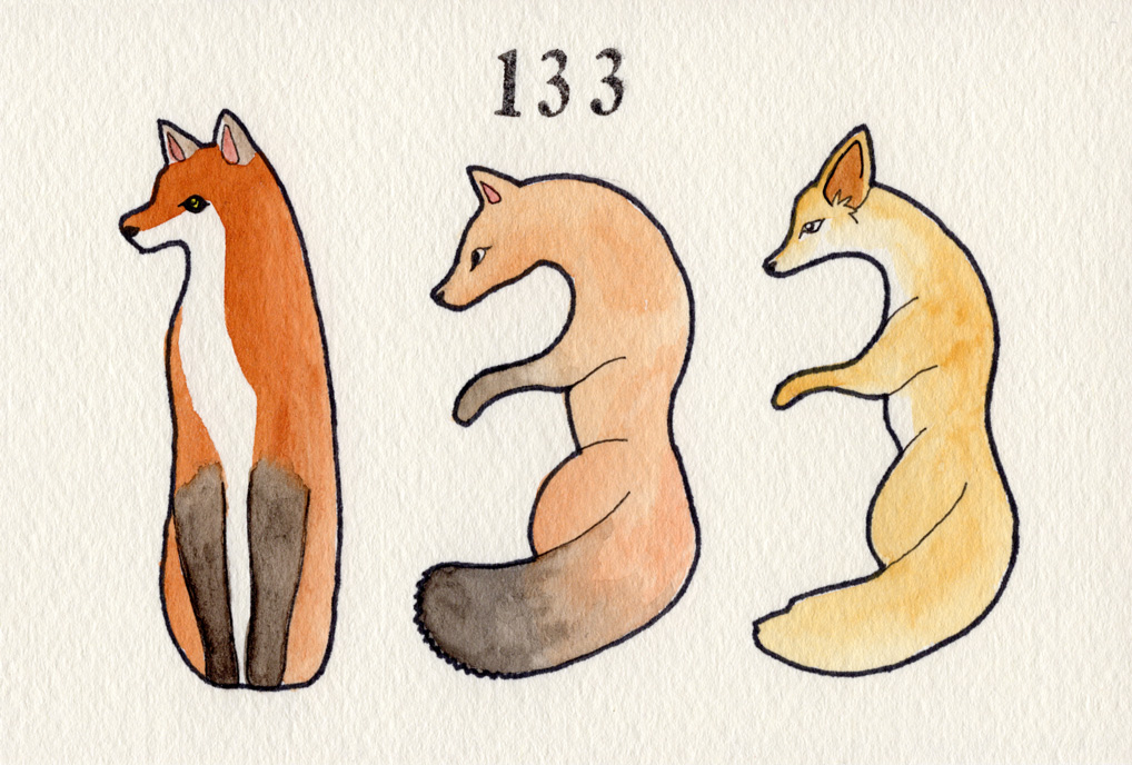 アカキツネ/キタキツネ/フェレックキツネ